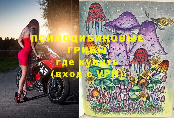 шишки Абдулино