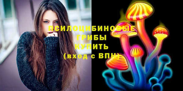 шишки Абдулино