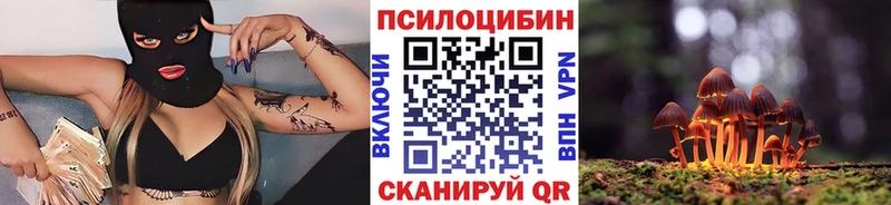 купить наркотики сайты  Харабали  Галлюциногенные грибы Cubensis 